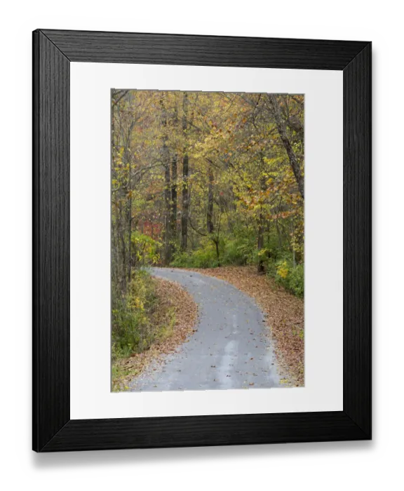 Framed Print : Road in fall color Giant City State Park, Illinois