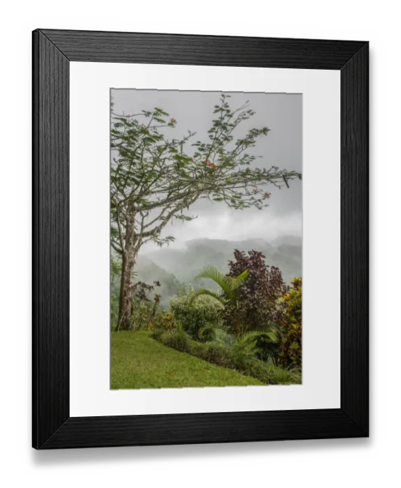 Framed Print : Puntarenas, Costa Rica Framed Print : Puntarenas, Costa Rica