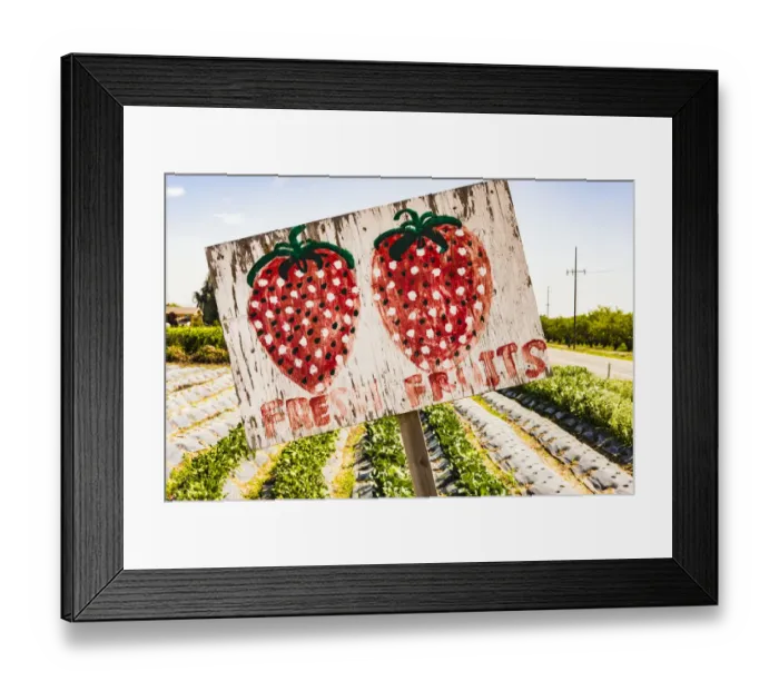 Framed Print : USA, California, Central Valley, San Joaquin River Valley, Modesto, Aan Saechaos garden Framed Print : USA, California, Central Valley, San Joaquin River Valley, Modesto, Aan Saechaos garden