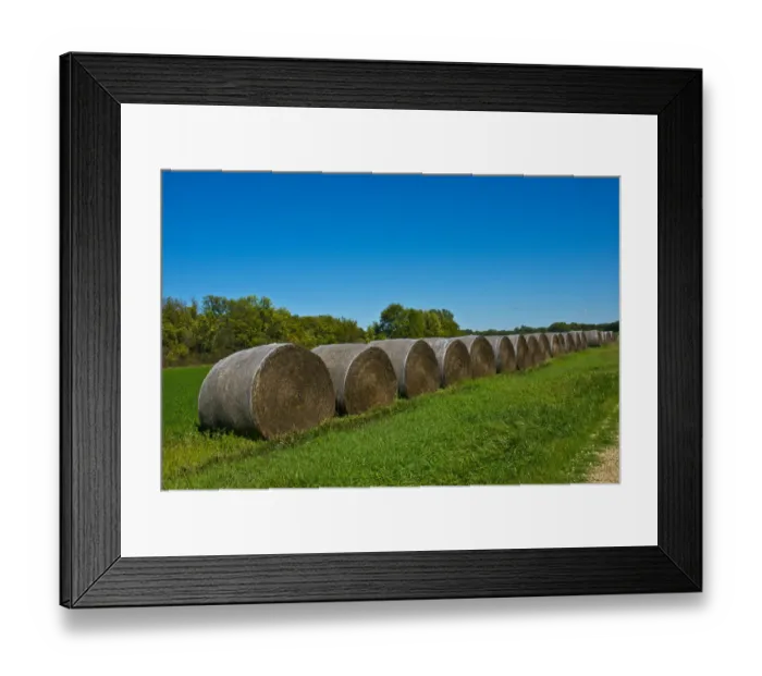 Framed Print : USA, Kansas, Minneapolis. Round bales of hay stacked in a row Framed Print : USA, Kansas, Minneapolis. Round bales of hay stacked in a row