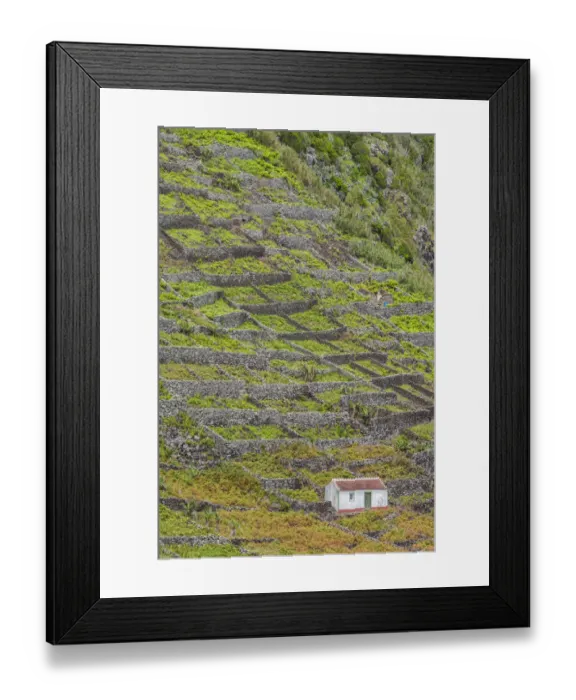 Framed Print : Portugal, Azores, Santa Maria Island, Maia Framed Print : Portugal, Azores, Santa Maria Island, Maia