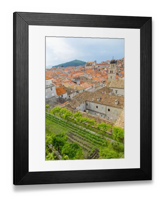 Framed Print : Croatia, Dubrovnik. Overview of walled city and garden Framed Print : Croatia, Dubrovnik. Overview of walled city and garden