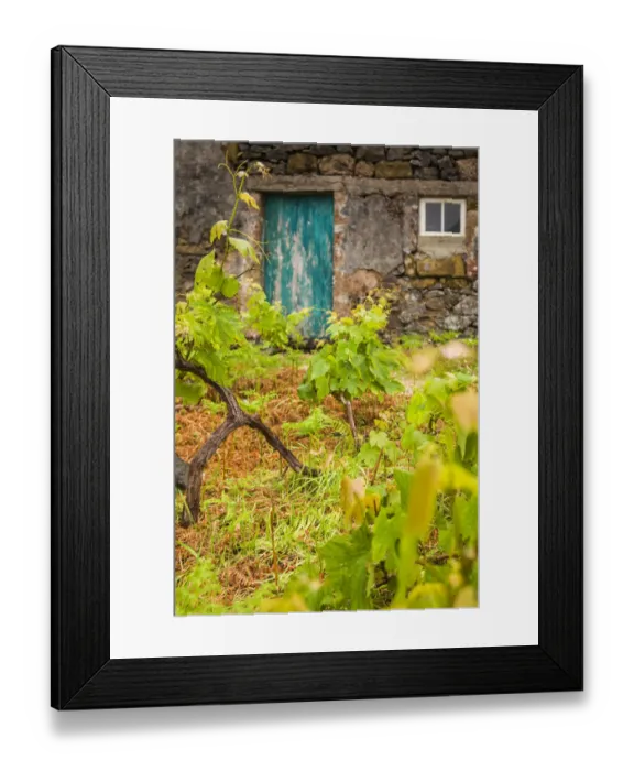 Framed Print : Portugal, Azores, Santa Maria Island, Maia. Houses and volcanic rock vineyards Framed Print : Portugal, Azores, Santa Maria Island, Maia. Houses and volcanic rock vineyards