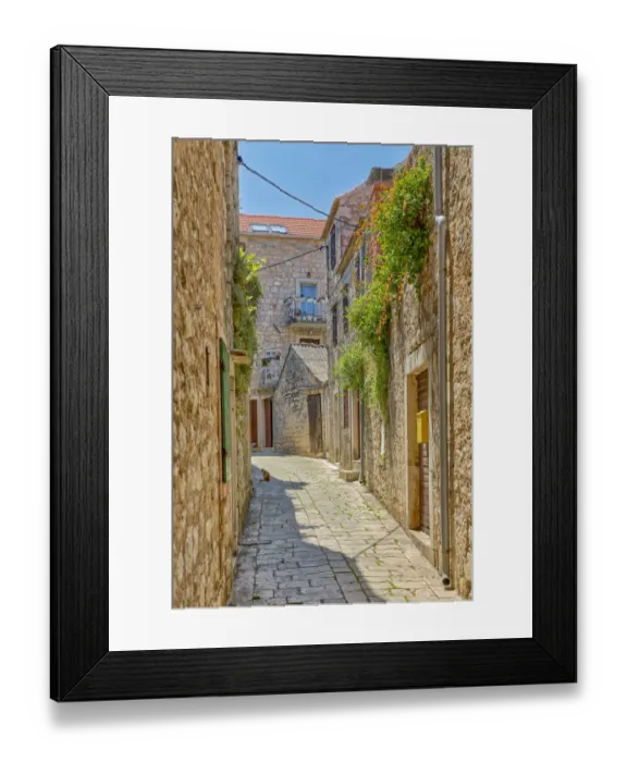 Framed Print : Croatia, Stari Grad. Cat in town street. Credit as: Fred Lord  /  Jaynes Gallery  /  DanitaDelimont