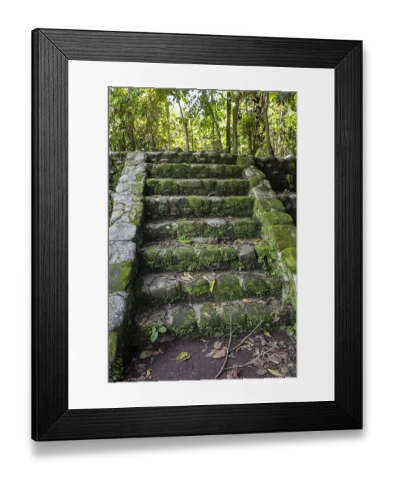Framed Print : Izapa Ruins, Tapachula, Chiapas, Mexico Framed Print : Izapa Ruins, Tapachula, Chiapas, Mexico