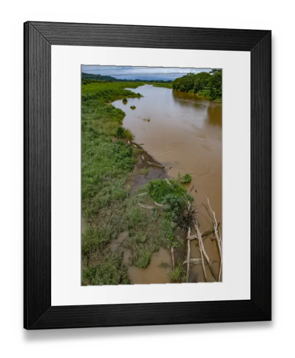 Framed Print : American crocodiles, Tarcoles River, Puntarenas, Costa Rica Framed Print : American crocodiles, Tarcoles River, Puntarenas, Costa Rica