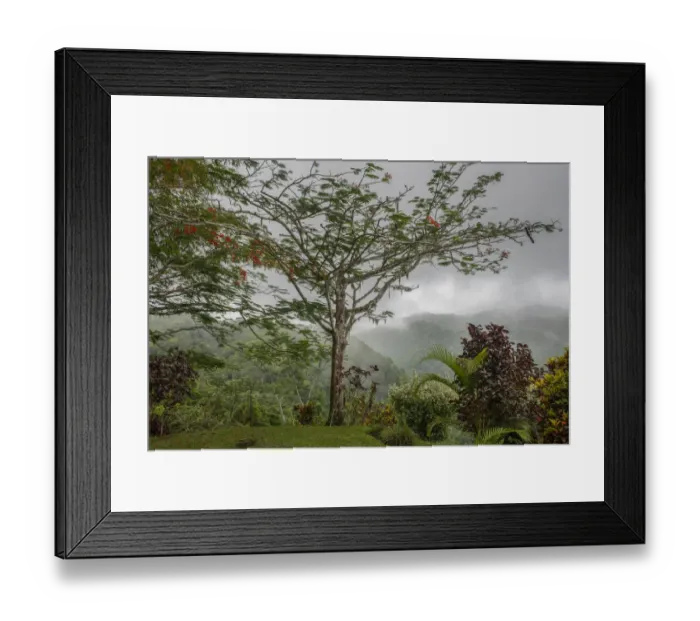 Framed Print : Puntarenas, Costa Rica Framed Print : Puntarenas, Costa Rica
