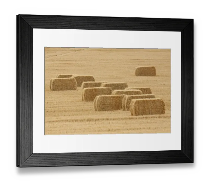Framed Print : Usa, Montana, near Drummond. Bales of hay in a field that has just been harvested Framed Print : Usa, Montana, near Drummond. Bales of hay in a field that has just been harvested