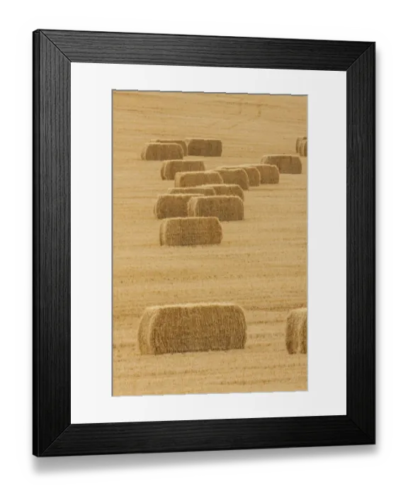 Framed Print : Usa, Montana, near Drummond. Bales of hay in a field that has just been harvested