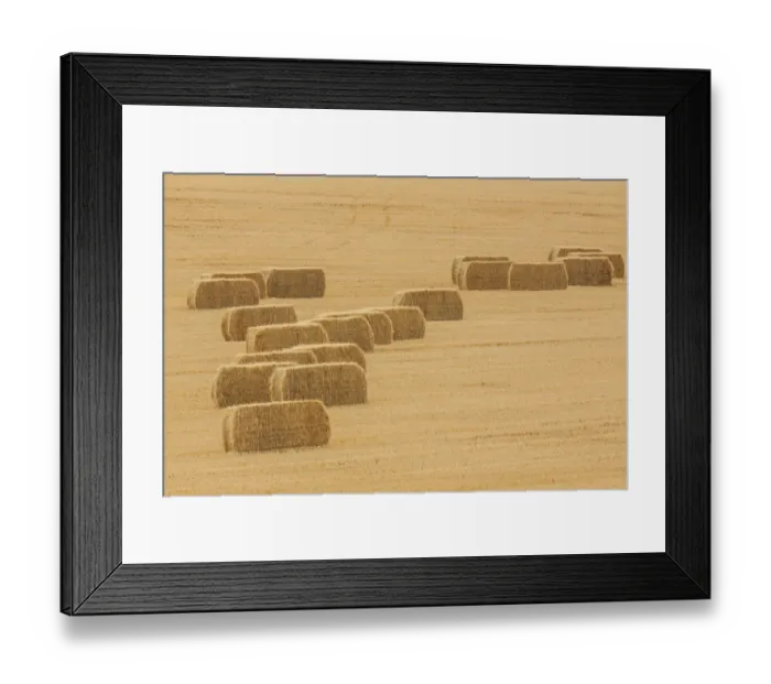 Framed Print : Usa, Montana, near Drummond. Bales of hay in a field that has just been harvested