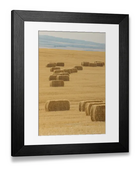 Framed Print : USA, Montana, near Drummond. Bales of hay in a field that has just been harvested