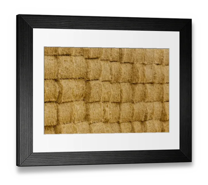 Framed Print : USA, Montana, near Drummond. Bales of hay in a field that has just been harvested Framed Print : USA, Montana, near Drummond. Bales of hay in a field that has just been harvested