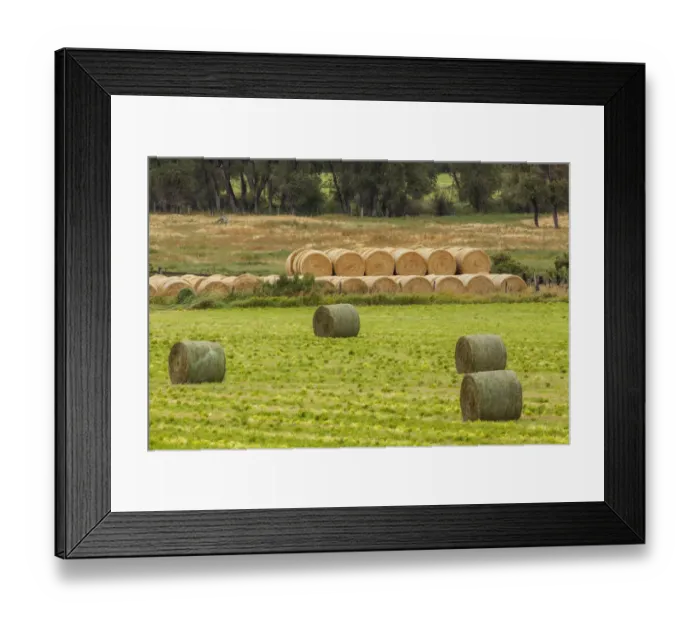 Framed Print : USA, Montana. Bales, or Rounds, of hay in a field that has just been harvested