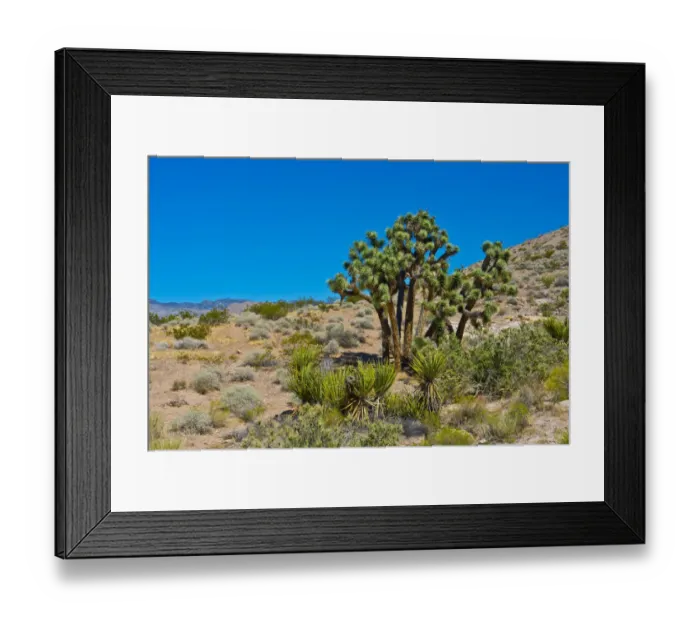 Framed Print : USA, Nevada. Mesquite. Gold Butte National Monument, Blackhawk Road vista