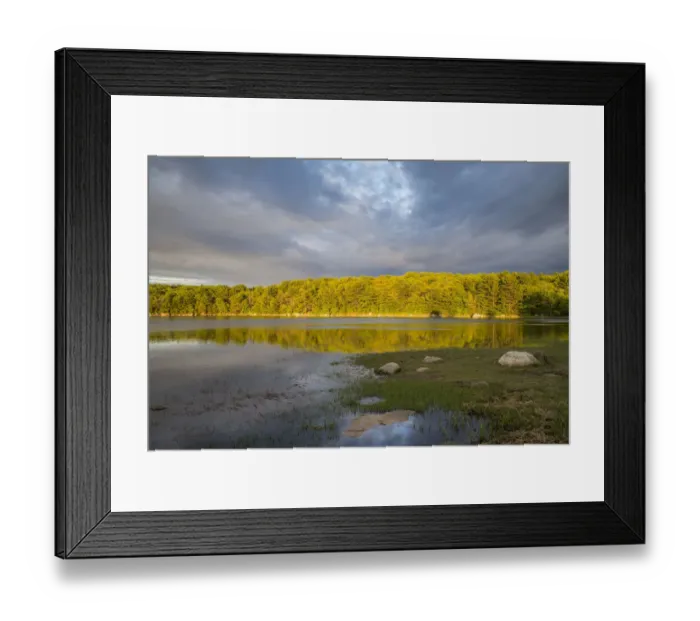 Framed Print : USA, Massachusetts, Cape Ann, Annisquam. Summer light on Goose Cove