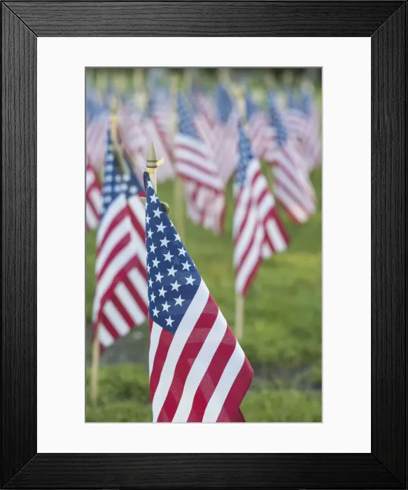 Framed Print : USA, Massachusetts, Cape Ann, Gloucester. US flags