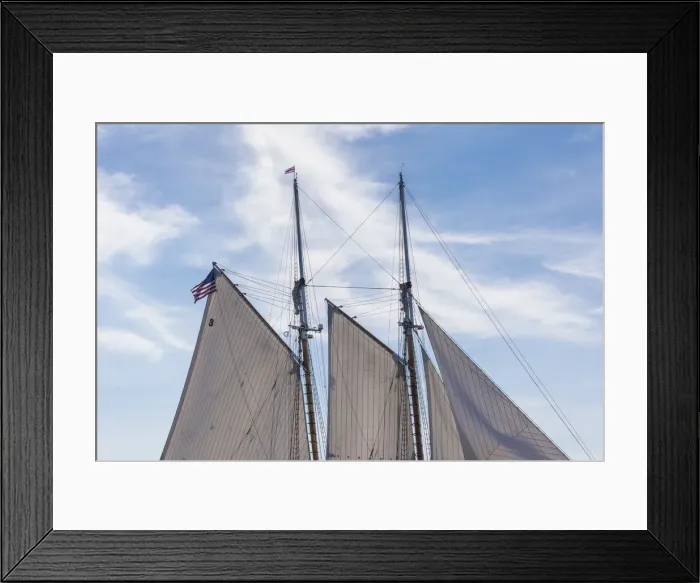 Framed Print : USA, Massachusetts, Cape Ann, Gloucester. Gloucester Schooner Festival, schooner sails Framed Print : USA, Massachusetts, Cape Ann, Gloucester. Gloucester Schooner Festival, schooner sails