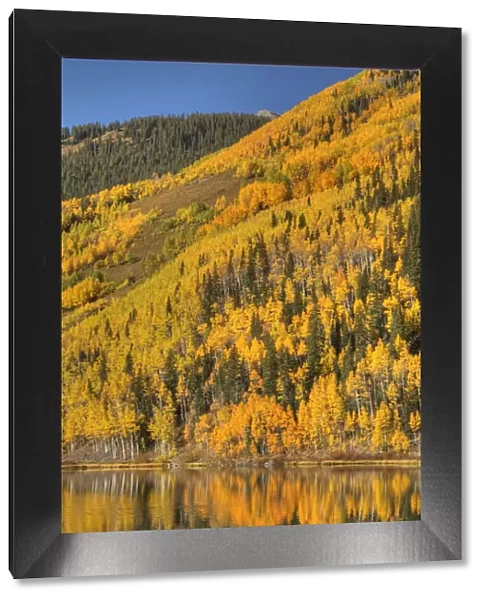 USA, Colorado, San Juan Mountains. Forest reflects in Lower Crystal Lake. Credit as