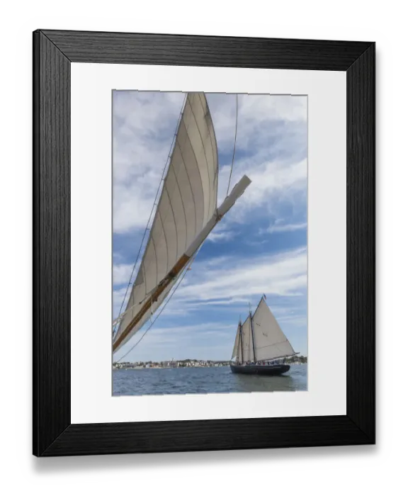 Framed Print : USA, Massachusetts, Cape Ann, Gloucester. Gloucester Schooner Festival, schooners Framed Print : USA, Massachusetts, Cape Ann, Gloucester. Gloucester Schooner Festival, schooners