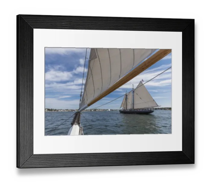 Framed Print : USA, Massachusetts, Cape Ann, Gloucester. Gloucester Schooner Festival, schooners