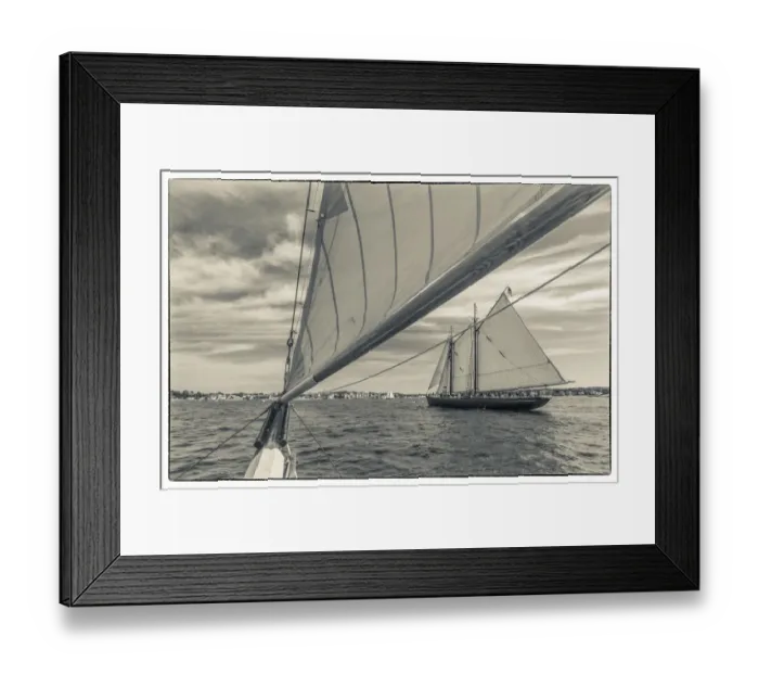 Framed Print : USA, Massachusetts, Cape Ann, Gloucester. Gloucester Schooner Festival, schooners Framed Print : USA, Massachusetts, Cape Ann, Gloucester. Gloucester Schooner Festival, schooners