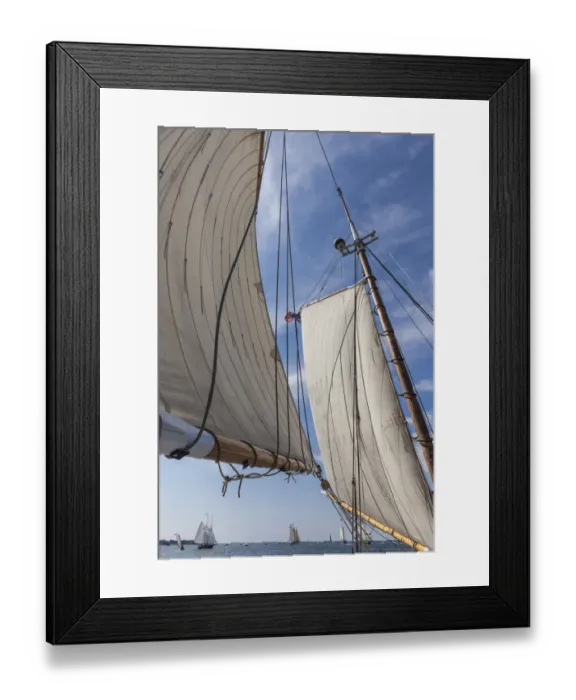 Framed Print : USA, Massachusetts, Cape Ann, Gloucester. Gloucester Schooner Festival, schooner sails