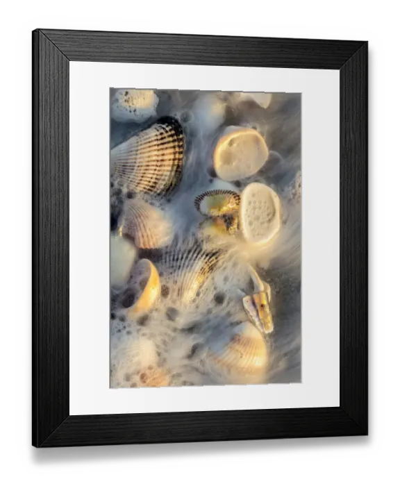 Framed Print : Surf on seashells on Sanibel Island in Florida, USA Framed Print : Surf on seashells on Sanibel Island in Florida, USA
