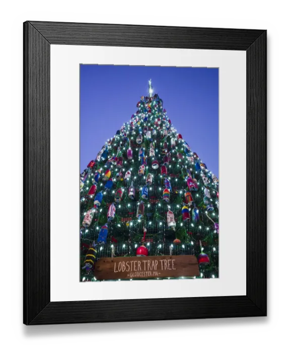 Framed Print : USA, Massachusetts, Cape Ann, Gloucester. Christmas Tree made of lobster traps Framed Print : USA, Massachusetts, Cape Ann, Gloucester. Christmas Tree made of lobster traps