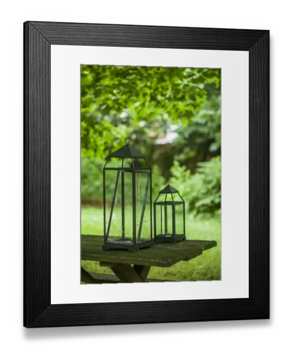 Framed Print : USA, Washington D. C. Female Union Band Cemetery, abandoned former cemetery of black women Framed Print : USA, Washington D. C. Female Union Band Cemetery, abandoned former cemetery of black women