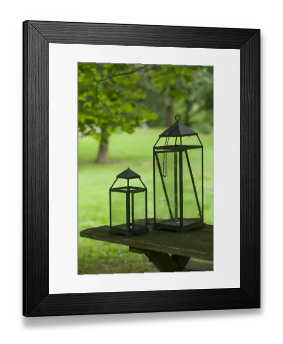 Framed Print : USA, Washington D. C. Female Union Band Cemetery, abandoned former cemetery of black women Framed Print : USA, Washington D. C. Female Union Band Cemetery, abandoned former cemetery of black women