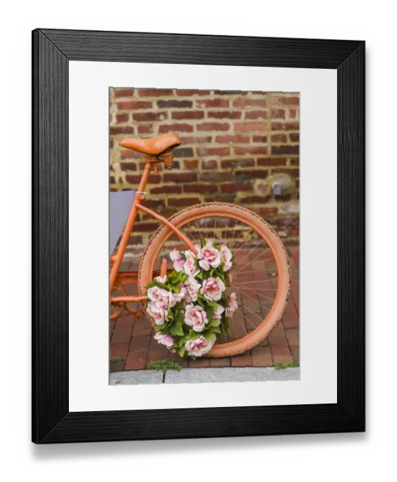 Framed Print : USA, Washington D. C. Georgetown. painted bicycle Framed Print : USA, Washington D. C. Georgetown. painted bicycle