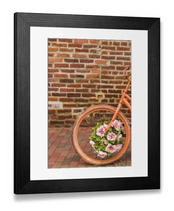 Framed Print : USA, Washington D. C. Georgetown. painted bicycle