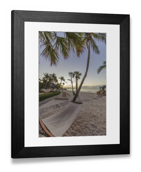 Framed Print : Hammock at sunrise at The Reach Resort in Key West, Florida, USA