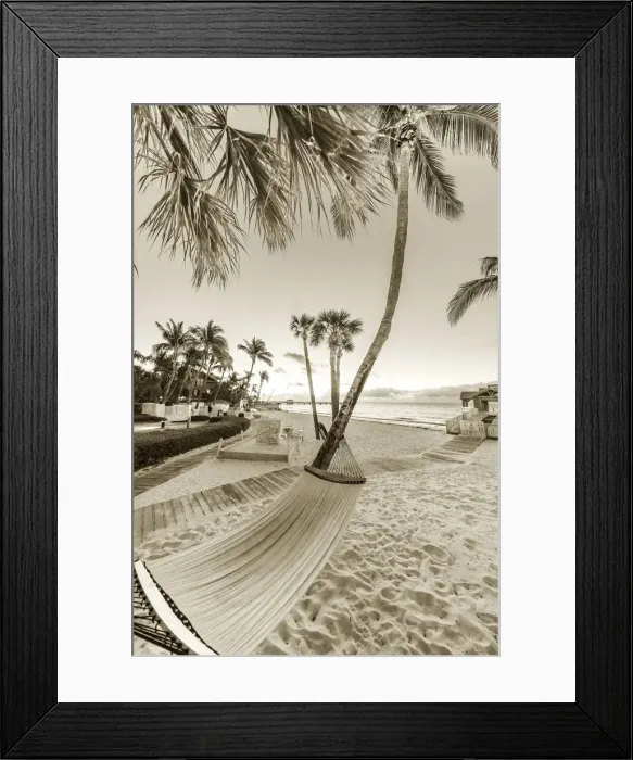 Framed Print : Hammock at sunrise at The Reach Resort in Key West, Florida, USA Framed Print : Hammock at sunrise at The Reach Resort in Key West, Florida, USA
