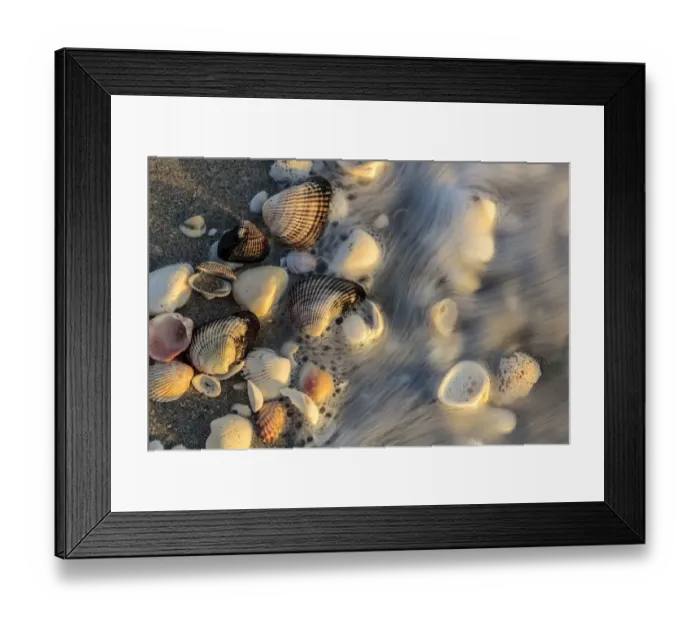 Framed Print : Surf on seashells on Sanibel Island in Florida, USA