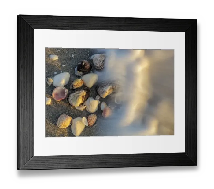 Framed Print : Surf on seashells on Sanibel Island in Florida, USA Framed Print : Surf on seashells on Sanibel Island in Florida, USA