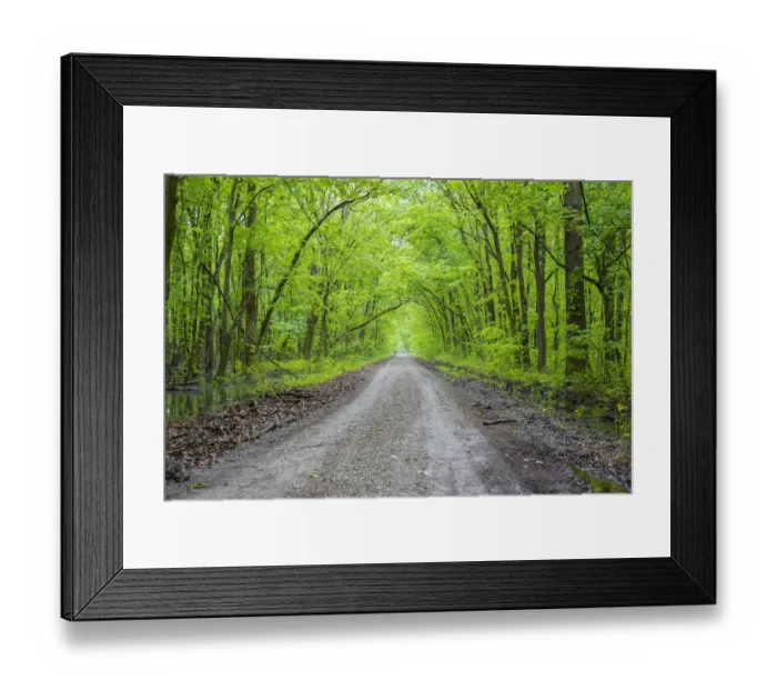 Framed Print : Snake Road LaRue Pine Hills Otter Pond Natural Area Shawnee National Forest Union Co. IL Framed Print : Snake Road LaRue Pine Hills Otter Pond Natural Area Shawnee National Forest Union Co. IL