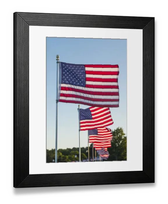 Framed Print : USA, Massachusetts, Cape Ann, Gloucester. US flags Framed Print : USA, Massachusetts, Cape Ann, Gloucester. US flags