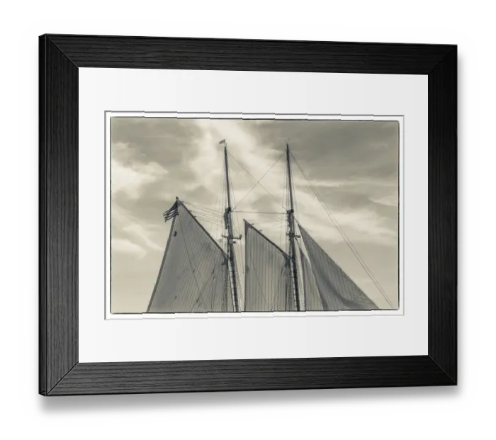 Framed Print : USA, Massachusetts, Cape Ann, Gloucester. Gloucester Schooner Festival, schooner sails Framed Print : USA, Massachusetts, Cape Ann, Gloucester. Gloucester Schooner Festival, schooner sails