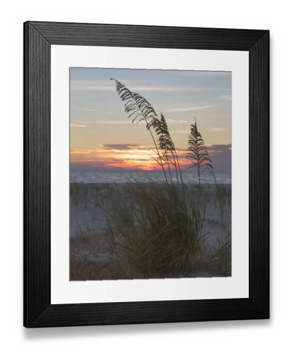 Framed Print : USA, Fort De Soto Park, Pinellas County, St