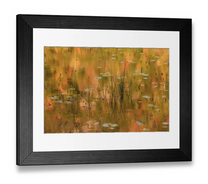 Framed Print : USA, Maine. Acadia National Park, reflections of fall color in a pond Framed Print : USA, Maine. Acadia National Park, reflections of fall color in a pond