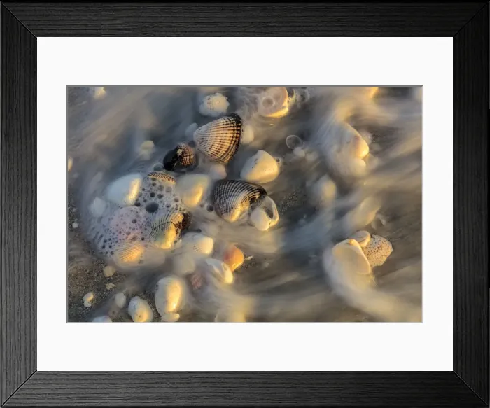 Framed Print : Surf on seashells on Sanibel Island in Florida, USA Framed Print : Surf on seashells on Sanibel Island in Florida, USA