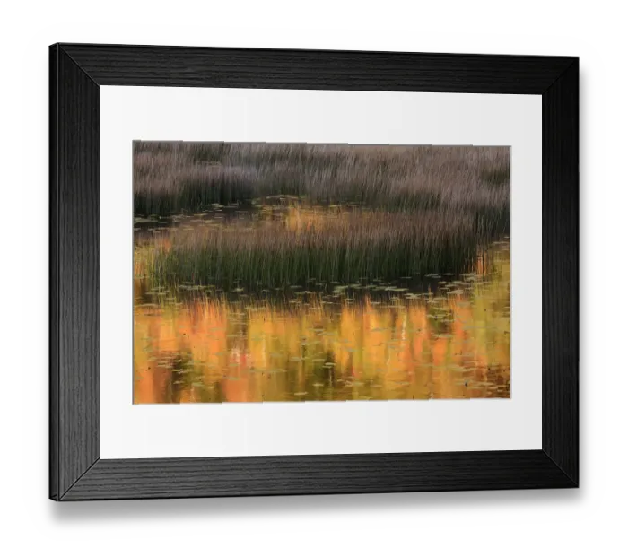 Framed Print : USA, Maine. Acadia National Park, reflections of fall color in a pond