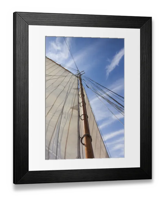 Framed Print : USA, Massachusetts, Cape Ann, Gloucester. Gloucester Schooner Festival, schooner sails Framed Print : USA, Massachusetts, Cape Ann, Gloucester. Gloucester Schooner Festival, schooner sails