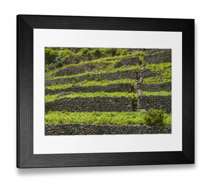 Framed Print : Portugal, Azores, Santa Maria Island, Pico Vermelho. Vineyards in volcanic stone walls Framed Print : Portugal, Azores, Santa Maria Island, Pico Vermelho. Vineyards in volcanic stone walls