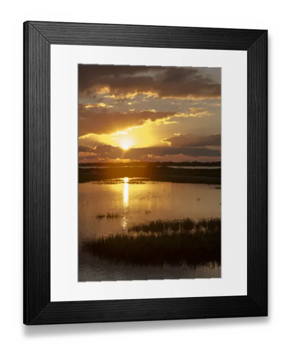 Framed Print : Welder Flats at sunrise, San Antonio Bay, Texas Framed Print : Welder Flats at sunrise, San Antonio Bay, Texas