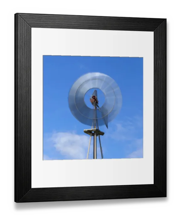 Framed Print : Aermotor windmill, Seadrift, Texas Framed Print : Aermotor windmill, Seadrift, Texas