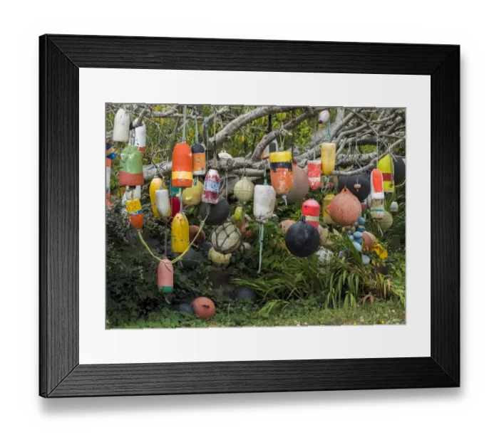 Framed Print : USA, Oregon, Newport. Tree decorated with buoys Framed Print : USA, Oregon, Newport. Tree decorated with buoys