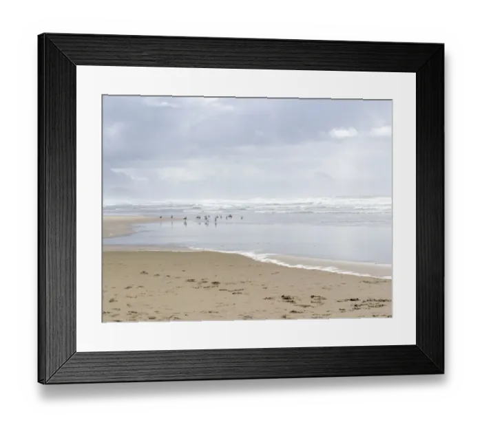Framed Print : USA, Oregon, Manzanita. Seagulls on ocean shore Framed Print : USA, Oregon, Manzanita. Seagulls on ocean shore