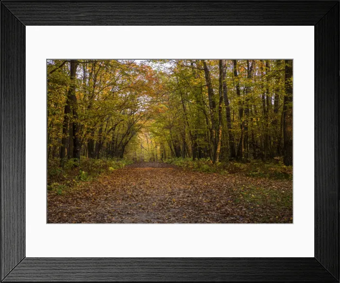 Framed Print : USA, Minnesota, Itasca State Park Framed Print : USA, Minnesota, Itasca State Park